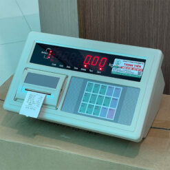 Bộ chỉ thị xk3190-a9