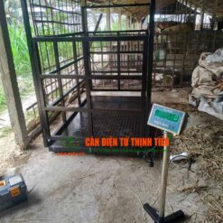 can-bo-dien-tu-1-tan