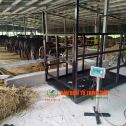 can-bo-dien-tu-500kg