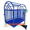 Cân Heo Điện Tử 500kg DS166SS