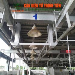 Cân heo mảnh điện tử 100kg