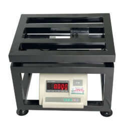 Cân Điện Tử ghế ngồi A12E 500kg